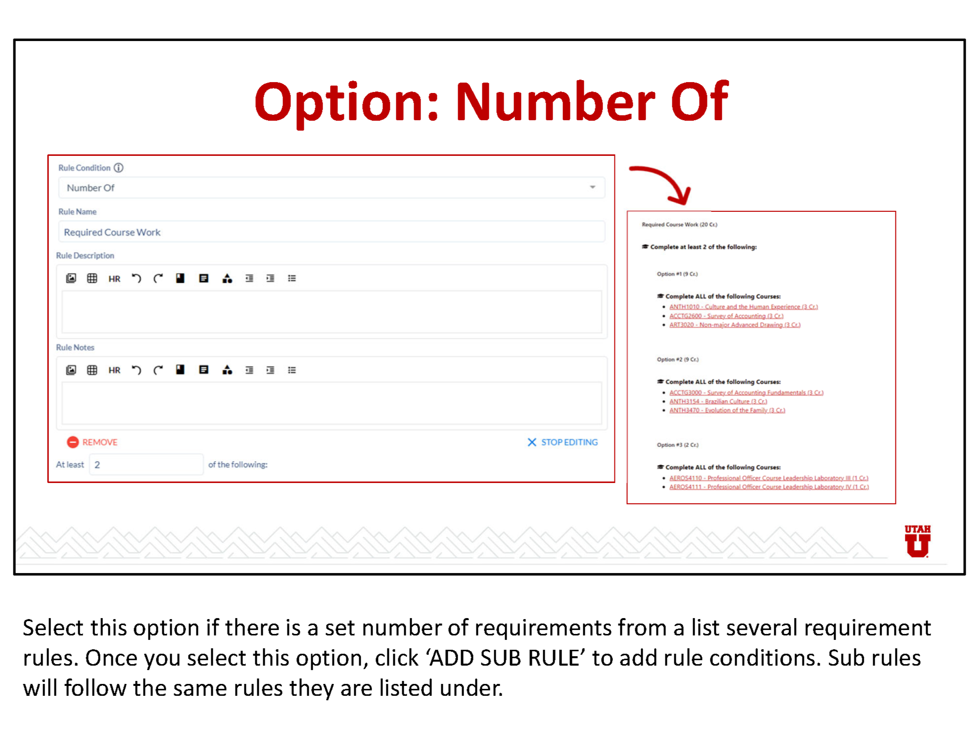 training documentation explaining how to add an emphasis to a program